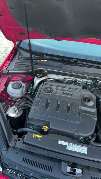Engine bay detail
